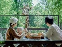 グランピングでキリンと朝食　夏の縁日風イベントやブランド牛使用の夏メニューも