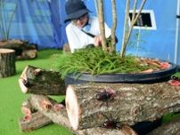 国営ひたち海浜公園にカブトムシハウスがオープン　森のヒーローたちが集まる16日間
