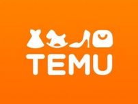 Temuが国際商標協会に加盟、知財保護を強化
