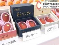 「マンゴーの日」豊見城市でイベント開催
