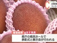 出荷量は減少も品質は上々「県マンゴーコンテスト」審査会 あす発表