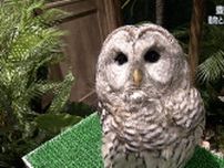 生きものたちとの触れ合いを楽しんでほしい DMM水族館 新エリアがオープン