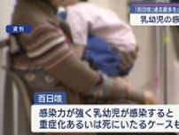 百日咳流行 過去最多
