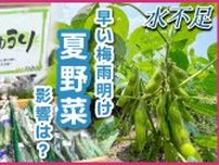 雨が降らない！　夏野菜に影響は？　ビールのお供がピンチ?!　広島