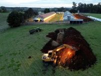 中国、ブラジル産鶏肉の禁輸解除検討　鳥インフル終息宣言受け