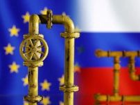 ロシア産ガス禁輸を1年前倒し、欧州議会で修正案