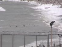 荒波の中、子供54人が泳いで越境　モロッコに隣接するスペイン飛地領セウタ（字幕・27日）