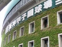 「三浦監督は内野守備の意思疎通を徹底していたのか」横浜DeNAまさかの内野フライ“お見合い”と完封した阪神の才木−坂本バッテリー新配球…両球団に10.5ゲーム差がついた理由とは？