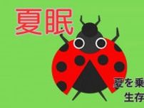 過酷な夏を乗り切る”生存戦略”「夏眠」とは　真夏はなぜ虫が少ない？