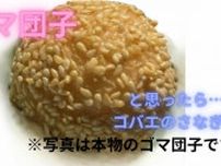「こんなところにゴマ団子？」よく見ると「ジャガイモにコバエのサナギ！」害虫駆除の専門家が教えるノミバエ撃退法とは【画像閲覧注意】