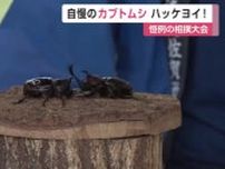 自慢のカブトムシがハッケヨイ！全日本相撲大会【佐賀県】