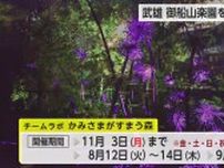 「チームラボかみさまがすまう森」御船山楽園を音や光で彩るアート展【佐賀県武雄市】