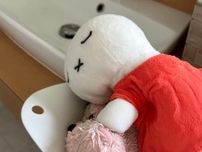 もう手放せない！「酸素系漂白剤」の便利すぎる活用術3選「衣類やぬいぐるみも簡単に清潔！」