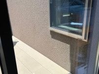 虫の気配ゼロ！今日からできる小さな虫を寄せつけない“3つのキレイ習慣”