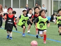 ゴール決めハイタッチ、ピッチに歓声響く　由利本荘市でキッズサッカーフェス