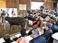 フェリー減、子牛が売れないかも　島根・隠岐　バイヤーの旅程に支障　取引価格下落を危惧