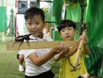 世界のカブトムシ「格好いい」　吉備中央 「ムシバッカ王国」開幕