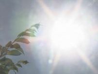 長野県内にあす（23日）熱中症警戒アラートが発表　この夏初めて　「危険な暑さ」が予想　熱中症に注意