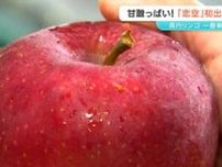 恋のように甘酸っぱい！？極早生種のリンゴ「恋空」の出荷始まる　長野・松本市