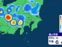 【大雨情報】関東甲信　大気の状態が非常に不安定　警報級の大雨の可能性も【雨のシミュレーション画像】関東北部100ミリ　関東南部90ミリ　甲信地方80ミリ　気象庁