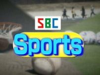 夏の高校野球長野大会　松商学園が４年ぶり３８回目の優勝　エースが完投し佐久長聖を下す