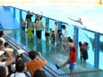 イルカの尾ひれで大量の水しぶきを浴びる！夏休みの暑さを吹き飛ばすイベントを開催＝静岡・沼津市