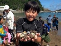拾ったら無料! 伊豆の海岸で『サザエ狩り』3000個を争奪...海開き前に海水浴シーズンをPR=静岡・松崎町