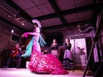 情熱の踊り堪能を　足利市出身の舞踊家・吉澤さんが26日にフラメンコライブ