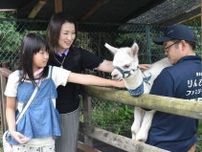 那須・りんどう湖ファミリー牧場でアルパカの赤ちゃん初公開　31日まで名前を募集