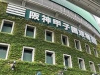 「野球を辞めて大阪に帰る」高校時代のダルビッシュを悩ませた部員との対立…「あんときの俺、ひどいキャプテンだったな」
