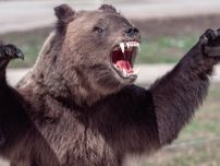 「ヒグマが私の頭蓋骨と顔面をむさぼってる…」なぜ日本人は”ロシアの残虐事件”を見ぬふりで凶暴な猛獣を駆除しないのか
