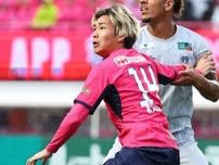「J１残留のために必死で頑張ります！」J２降格圏の19位、苦戦続く新潟がC大阪から27歳DFを完全移籍で獲得！