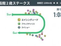【函館2歳S回顧】エイシンディードが逃げ切りV　光ったキング騎手の組み立てと祖母譲りの粘り