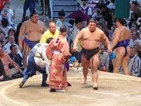 伯桜鵬、初金星　横綱・大の里を押し出した　「令和の怪物」鳥取県出身力士60年ぶり快挙