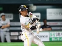 無名の存在から球宴へ　ソフトバンク・野村勇のパワーに注目