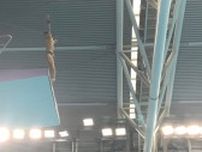 「どんどん精度が高まってる」パリ五輪飛込銀・玉井陸斗、世界水泳選手権2025出場に向け気合い十分！？