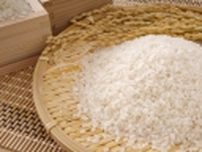 平成の米騒動と食品企業の対応、“ヤミ米”騒動から30年の教訓とは、1994年3月27日:城南電機・宮路社長がヤミ米を販売【食品産業あの日あの時】