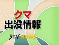 北海道で畑に座るクマの相次ぐ目撃…麦畑で落ち穂を食べていたか 北海道乙部町・厚沢部町