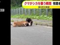 「クマが生きたシカをくわえて山の方に…」シカを襲うクマ 羅臼町の国道で撮影　北海道