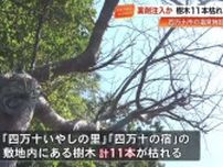 温泉施設の樹木11本にドリルで穴が開けられ枯れる　四万十市、被害額43万円超え【高知】