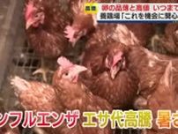 ”エッグショック”はなぜ？いつまで？　卵の品薄と高値続く　鳥インフルエンザに飼料高騰　さらに暑さの影響も
