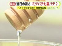 ミツバチも連日の暑さで夏バテ？ハチミツの量も減少で養蜂場も試行錯誤の日々