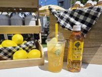 【東京・下北沢】午後の紅茶「夏のアイスティースタンド」でもらえる映えドリンクにキュン♡