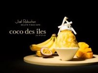 【ジョエル・ロブション×ジェラート ピケ カフェ】1日40食限定！エキゾチックなトロピカルかき氷が登場