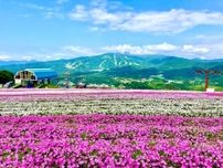 標高1,000mの花畑「ひるがのピクニックガーデン」オープン！マウンテンカートが新登場｜岐阜県郡上市