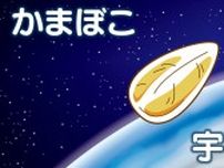 宇宙食目指す「かまぼこ」高度3万メートル成層圏へ 開発のきっかけは避難所「冷たいおにぎりで怒られる子ども」の姿だった