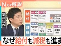 「給付」も「減税」も進まない？“給付”実現には秋に「補正予算案を組む必要」野党の協力が不可欠に【Nスタ解説】