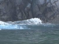 【住民困惑】「洗濯物が外で干せない」佐渡の海岸にクジラのような生物の死骸　１か月以上処理できず付近では悪臭も 《新潟》