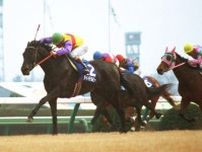 【名馬列伝】日本競馬を代表する“華麗なる一族”の名牝ダイイチルビー。90年代前半に異彩を放った快速牝馬の蹄跡