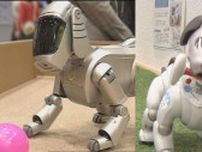 世界を驚かせた「アイボ」誕生から四半世紀…AI搭載で進化する『ペットロボット』育て方で400万通り以上の“個性”も